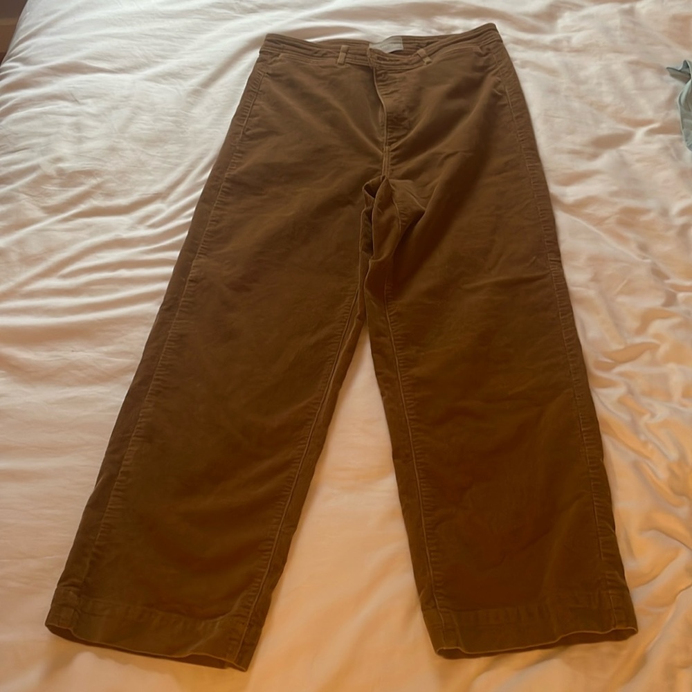 Everlane cords